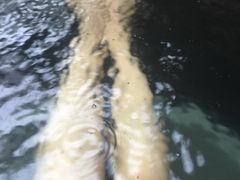 -固安来康郡来康温泉