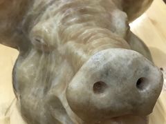 -良友水鱼城