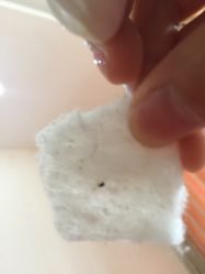 -成都苗方清颜专业祛痘