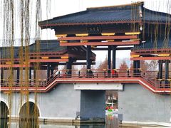 -桃花岛公园