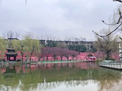 -西安曲江寒窑遗址公园