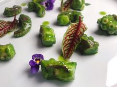 芥末青酱八爪鱼-CHIC1699远洋私厨