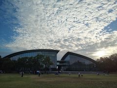 -吴淞炮台湾湿地森林公园烧烤区