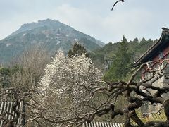 -香山公园