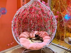 -藏猫猫咖啡主题馆(中央大道店)