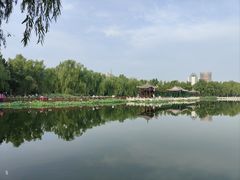 -莲花池公园