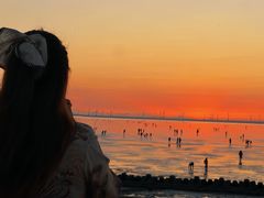 -南汇嘴观海公园