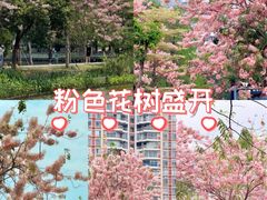-四海公园(南山区)