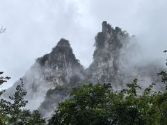 -鹿院坪生态旅游景区