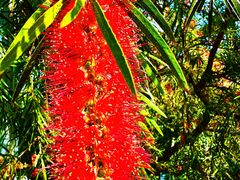 -北京植物园-展览温室
