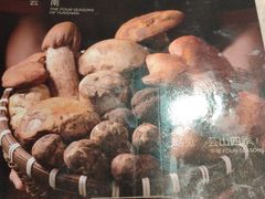 -芸山季·云南野生菌火锅(宝能环球汇店)