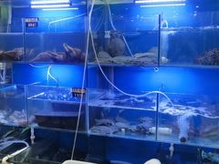 水产区-金龙·打边炉(武进路店)