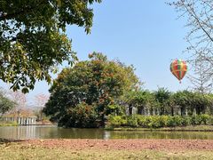 -中国科学院西双版纳热带植物园