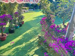 -沂蒙云瀑洞天景区