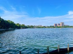 -济南大明湖景区