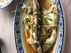 清蒸白水鱼-洞天食府(北大街店)