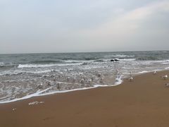 -老虎石海上公园