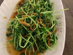 -松發肉骨茶(先得坊店)