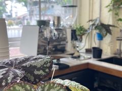 -绿小院(荔湾店)