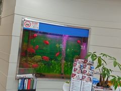 -雅悦齿科(顾村公园店)