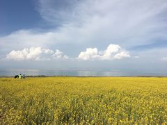 -青海湖国家重点风景名胜区