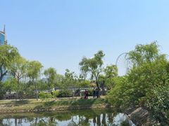 -无锡蠡湖国家湿地公园-蠡园