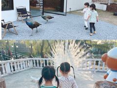 -J Create城市露营咖啡·简餐·宠物(上海动物园店)