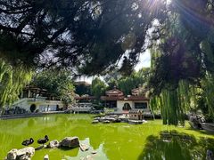 -舜耕山庄四时万和自助餐厅