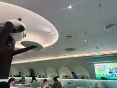 -眉州东坡·熊猫主题餐厅(枫蓝店)