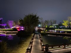 -成飞公园
