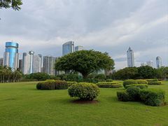-万绿园
