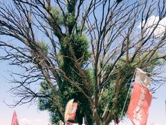 -沙漠世界地质公园