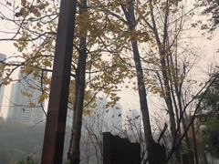 -重庆彩云湖湿地公园