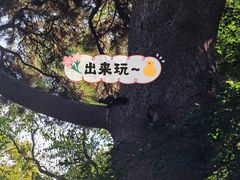 -北陵公园