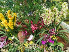 -国家植物园南园