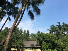 -四季酒店下午茶