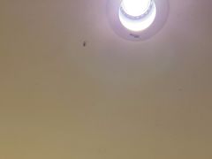 -温州龙湾国际机场温德姆酒店
