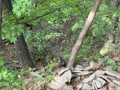 -帽儿山国家森林公园