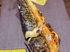 -鸟鹏烧鸟居酒屋(熙龙湾店)