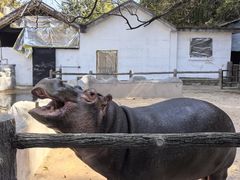 -昆明动物园