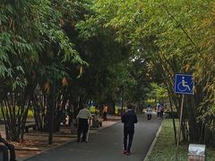 -晓港公园