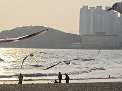 -海云台海滩