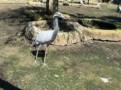 -哈尔滨北方森林动物园