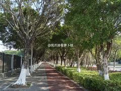 -长洲岛