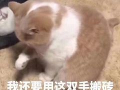 -新丰小吃(高沙店)