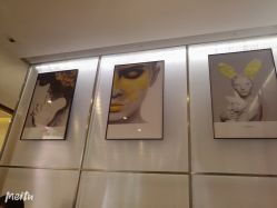 -崇尚GAVIN STYLE臻选