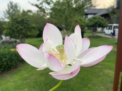 -新发现(金茂览秀城店)