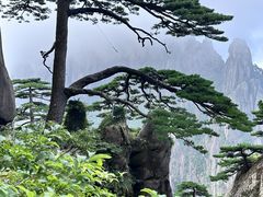 -黄山风景区
