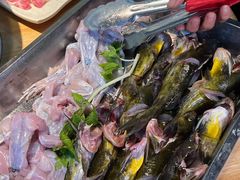 -青山青豆花·笑禅豆腐鱼(黄泥塝店)