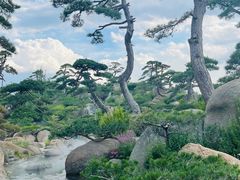 -罗红摄影艺术馆